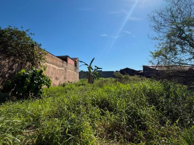 Terreno venda em Região Imediata de Santos, Região Metropolitana da Baixada Santista