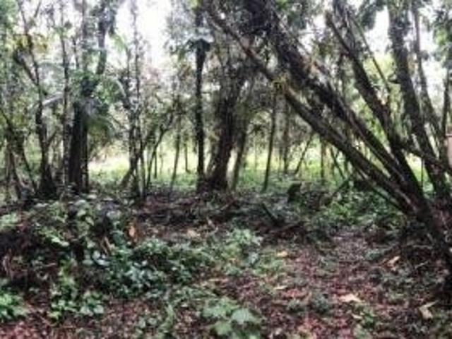 Terreno venda em Peruíbe