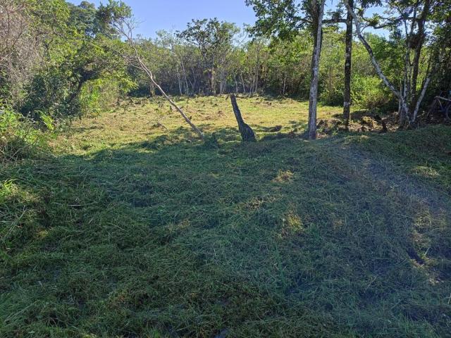 Terreno venda em Região Imediata de Santos, Região Metropolitana da Baixada Santista
