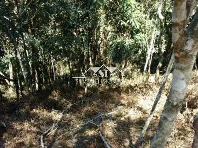 Terreno venda em Região Geográfica Imediata de Petrópolis, Região Metropolitana do Rio de Janeiro