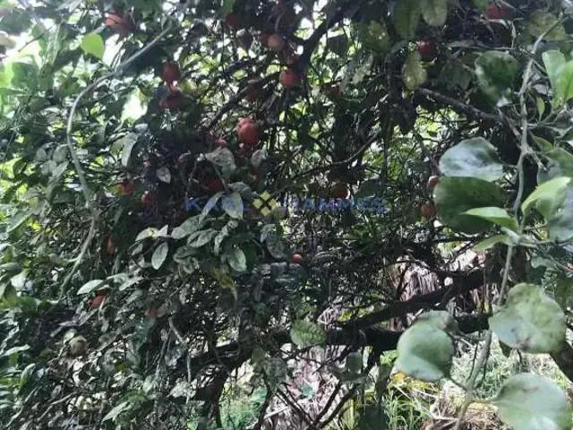 Terreno venda em Região Geográfica Imediata de Petrópolis, Região Metropolitana do Rio de Janeiro