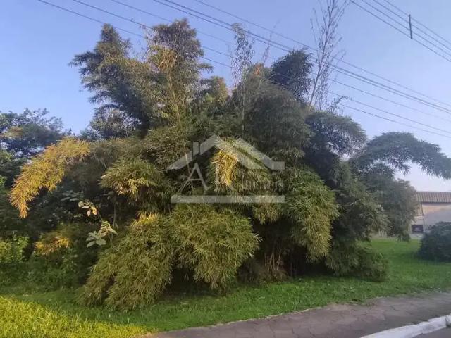 Terreno venda em Picada Café