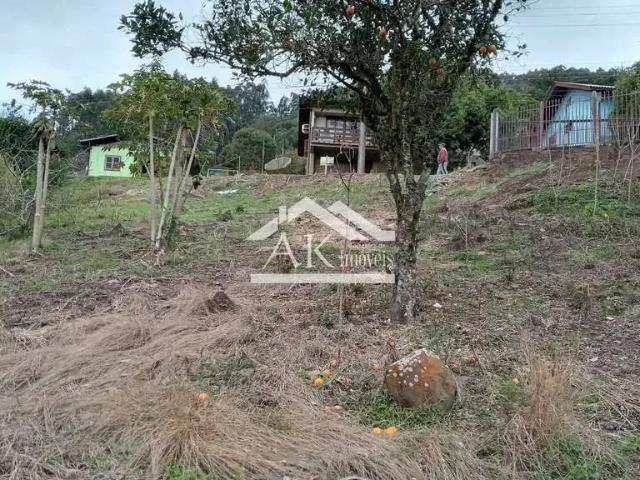 Terreno venda em Picada Café