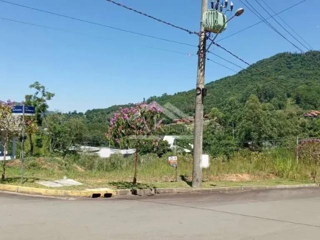 Terreno venda em Picada Café