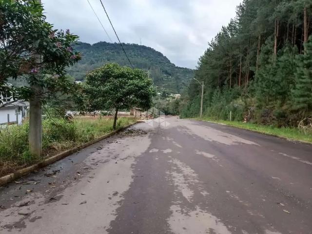Terreno venda em Picada Café