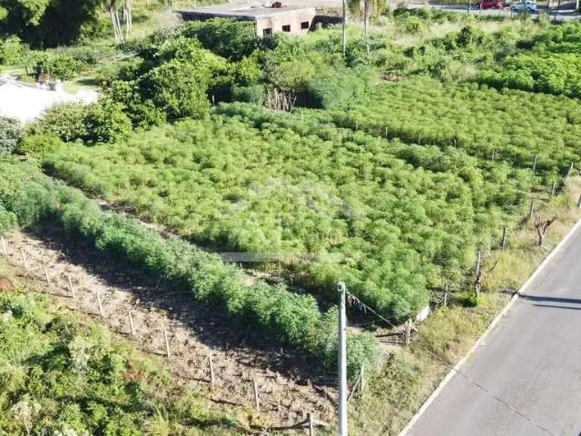 Terreno venda em Picada Café