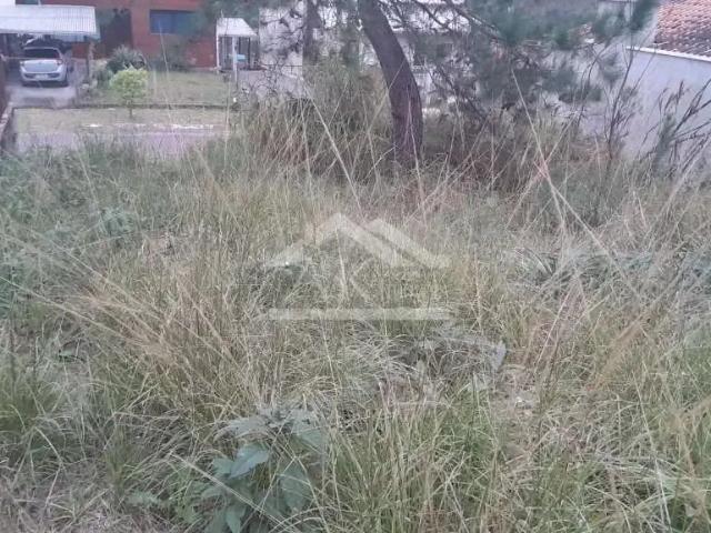 Terreno venda em Picada Café