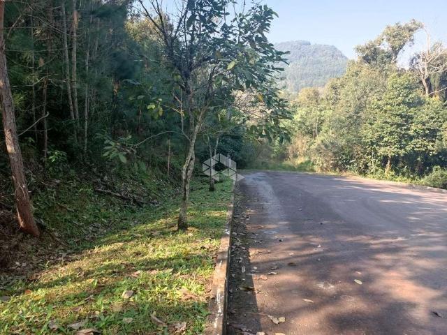 Terreno venda em Picada Café