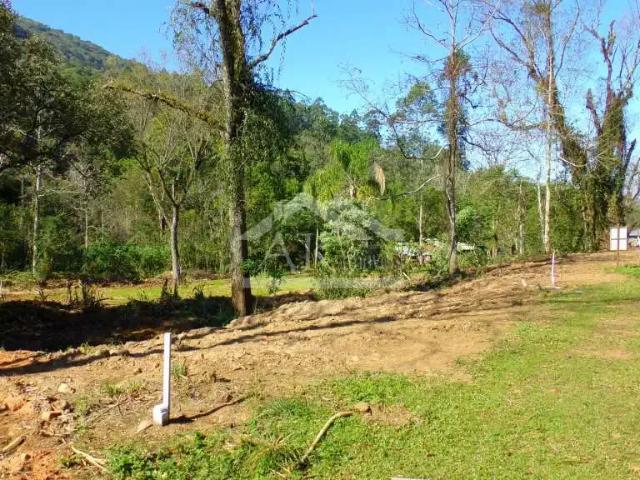 Terreno venda em Picada Café