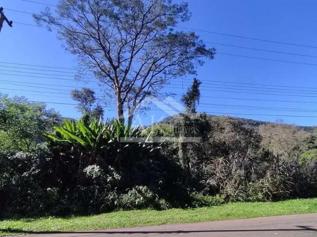 Terreno venda em Picada Café