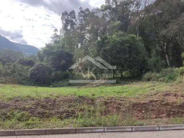 Terreno venda em Picada Café