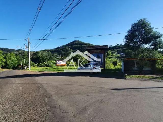 Terreno venda em Picada Café