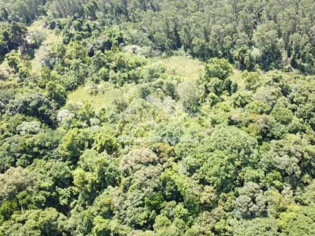 Terreno venda em Picada Café