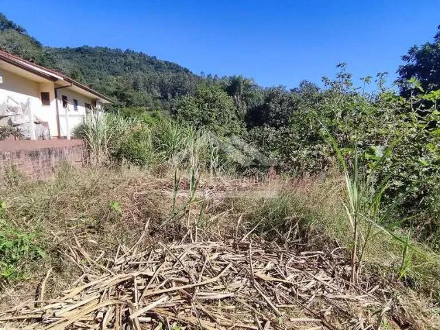 Terreno venda em Picada Café