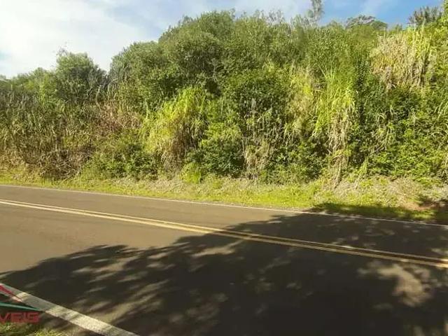 Terreno venda em Região Geográfica Imediata de Caxias do Sul, Picada Café