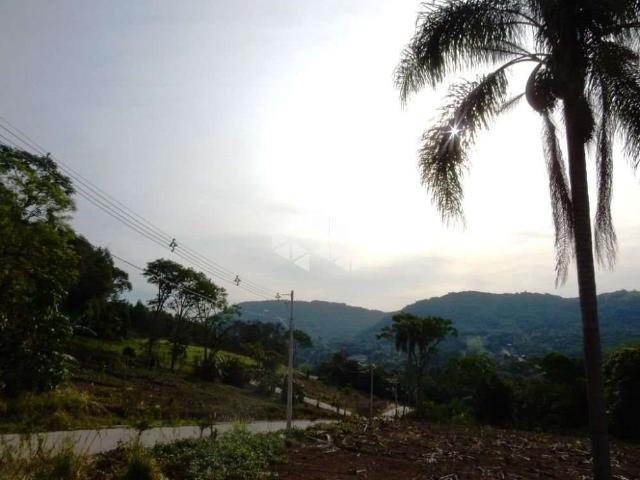 Terreno venda em Região Geográfica Imediata de Caxias do Sul, Picada Café