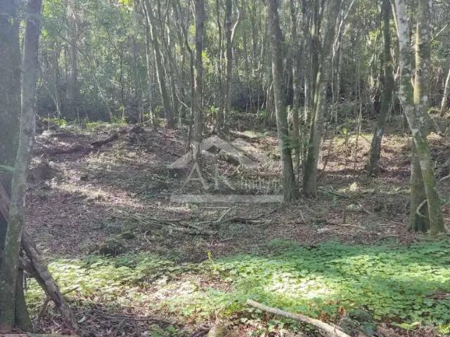 Terreno venda em Picada Café