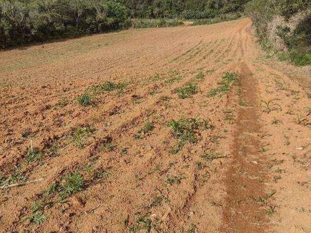 Terreno venda em Região Imediata de Itapeva, Itapeva