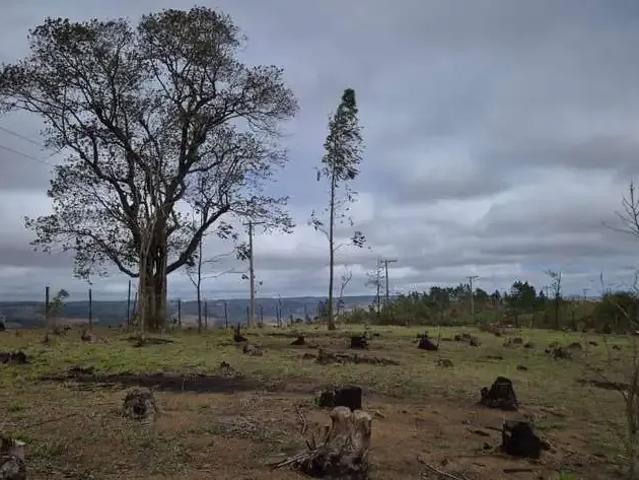 Terreno venda em Região Imediata de Sorocaba, Região Metropolitana de Sorocaba