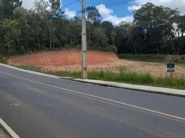 Terreno venda em Região Geográfica Imediata de Curitiba, Pien