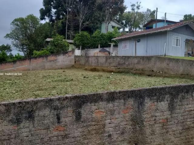 Terreno venda em Região Geográfica Imediata de Curitiba, Pien