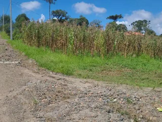 Terreno venda em Região Geográfica Imediata de Curitiba, Pien