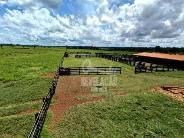 Terreno venda em Pimenta Bueno, Região Norte