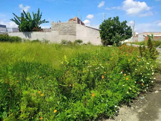 Terreno venda em Região Imediata de Amparo, Amparo