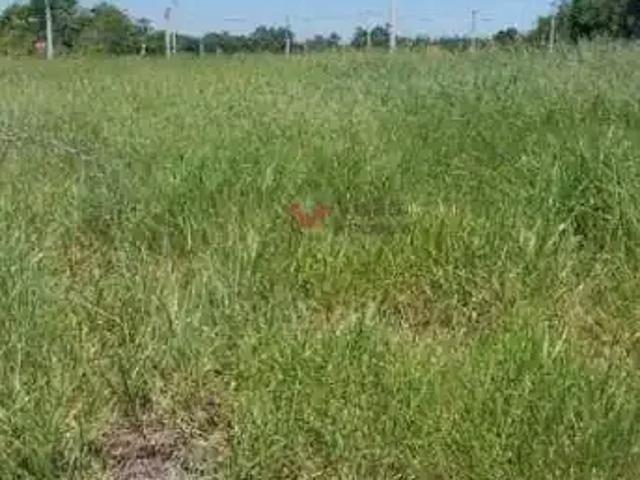 Terreno venda em Pparque das Palmeiras, Pindamonhangaba
