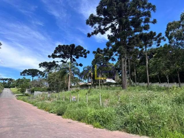 Terreno venda em Região Geográfica Imediata de Curitiba, Região Metropolitana de Curitiba