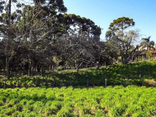 Terreno venda em Região Geográfica Imediata de Curitiba, Região Metropolitana de Curitiba