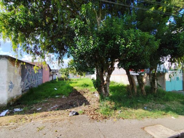 Terreno venda em Centro, Pinhais