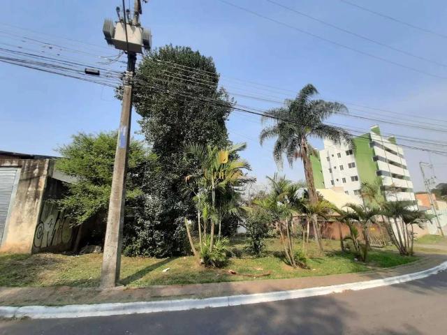 Terreno venda em Centro, Pinhais