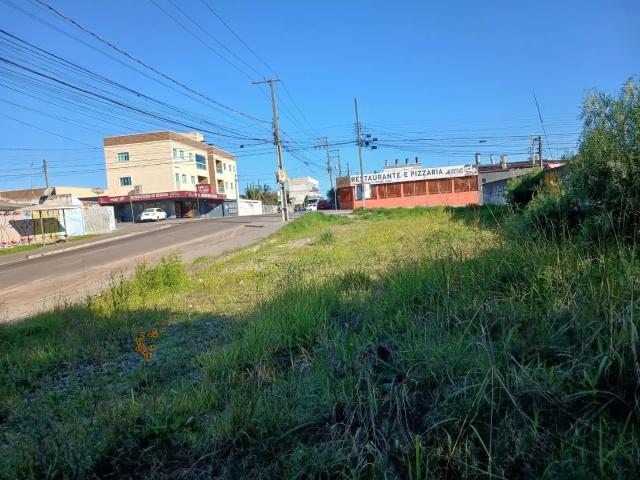 Terreno venda em Pineville, Pinhais