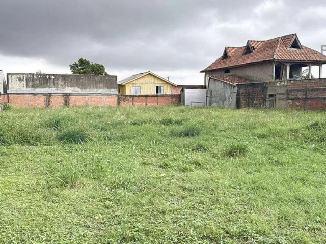 Terreno venda em Weissópolis, Pinhais