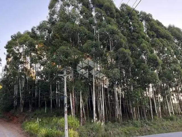 Terreno venda em Região Geográfica Imediata de Bento Gonçalves, Pinto Bandeira