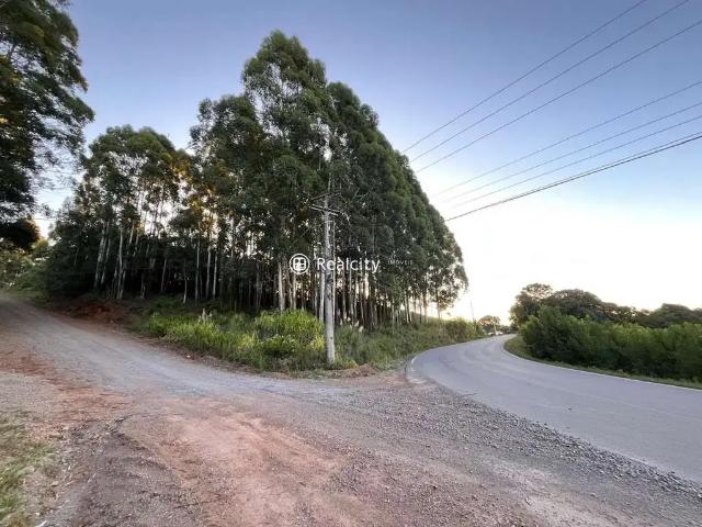 Terreno venda em Região Geográfica Imediata de Bento Gonçalves, Pinto Bandeira