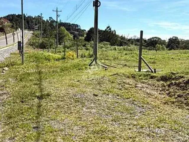 Terreno venda em Região Geográfica Imediata de Bento Gonçalves, Pinto Bandeira