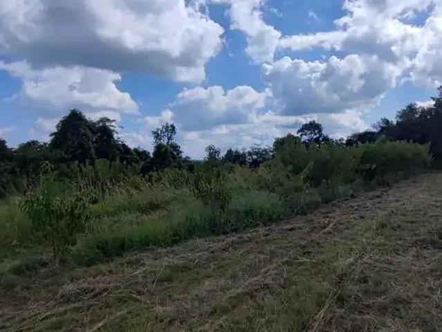 Terreno venda em Região Geográfica Imediata de Bento Gonçalves, Pinto Bandeira