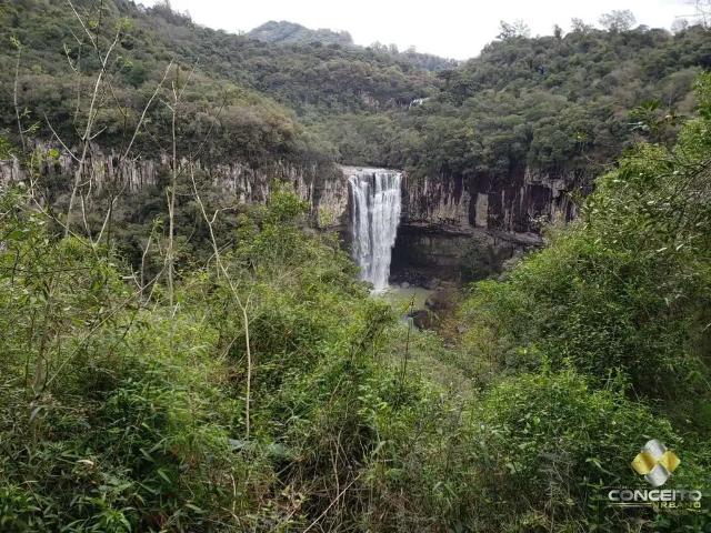 Terreno venda em Região Geográfica Imediata de Bento Gonçalves, Pinto Bandeira