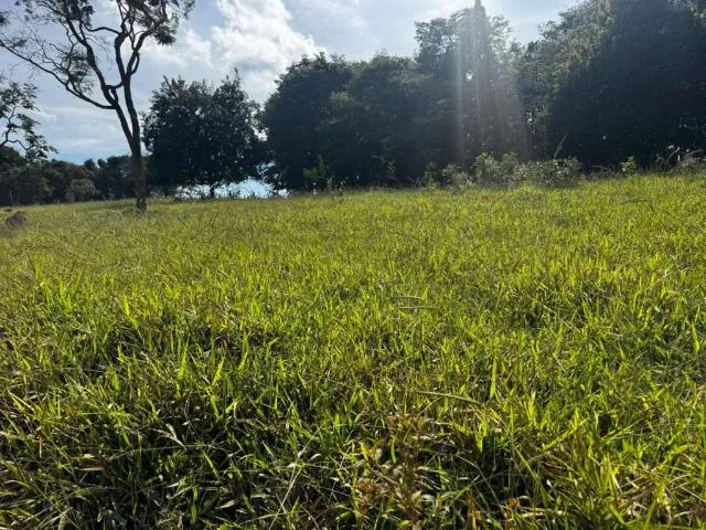 Terreno venda em Região Geográfica Imediata de Oliveira, Piracema