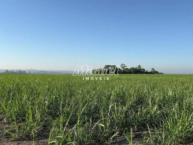 Terreno venda em Comunidade Taquaral, Piracicaba