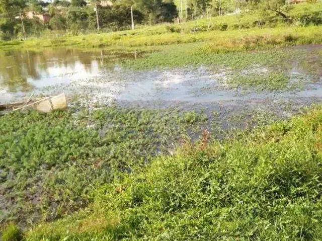Terreno venda em Região Imediata de Piracicaba, Região Metropolitana de Piracicaba