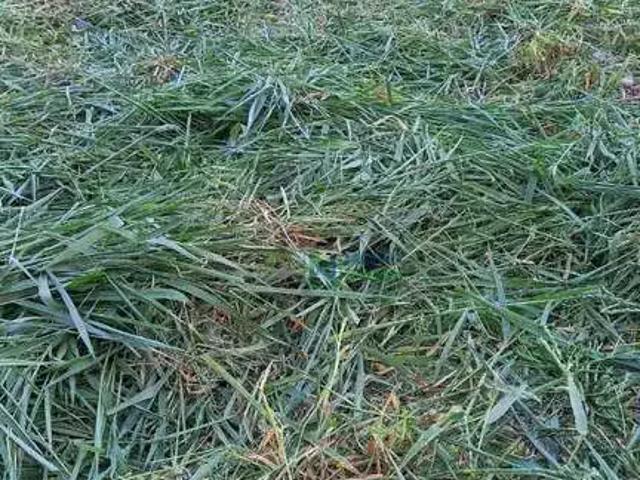Terreno venda em Região Imediata de Piracicaba, Região Metropolitana de Piracicaba