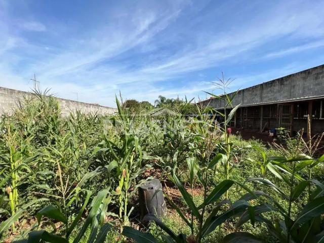 Terreno venda em Região Imediata de Piracicaba, Região Metropolitana de Piracicaba