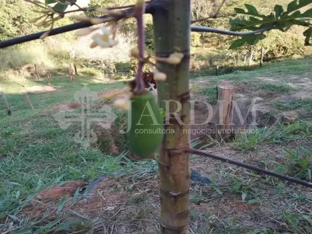 Terreno venda em Região Imediata de Piracicaba, Região Metropolitana de Piracicaba