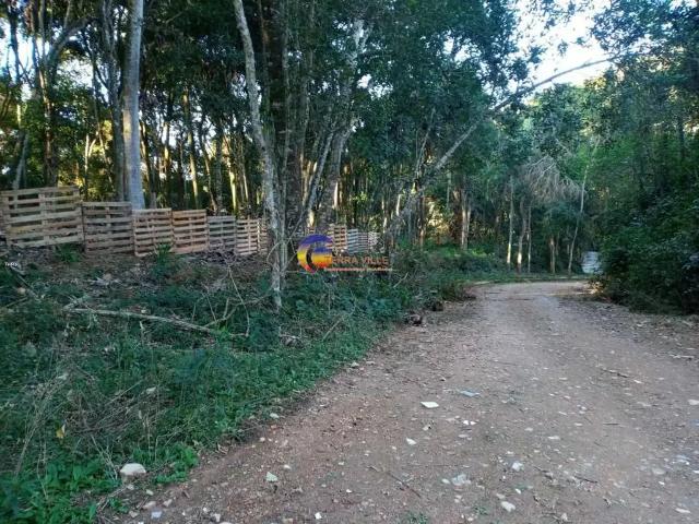 Terreno venda em Pirapora do Bom Jesus, Região Geográfica Intermediária de São Paulo