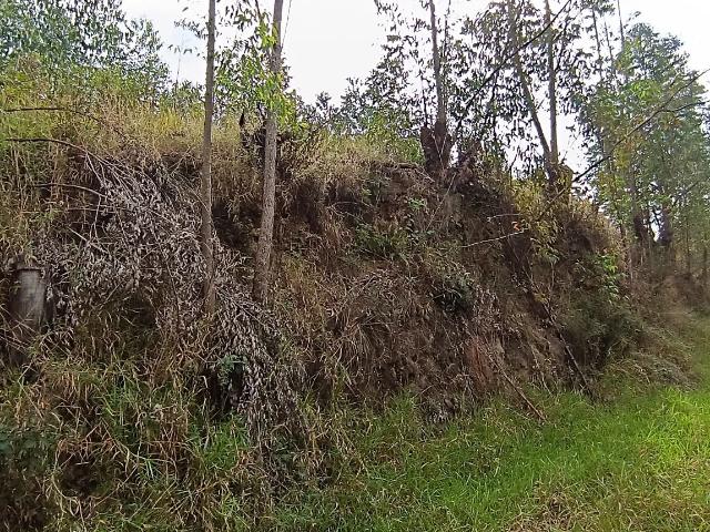 Terreno venda em Região Imediata de São Paulo, Região Metropolitana de São Paulo