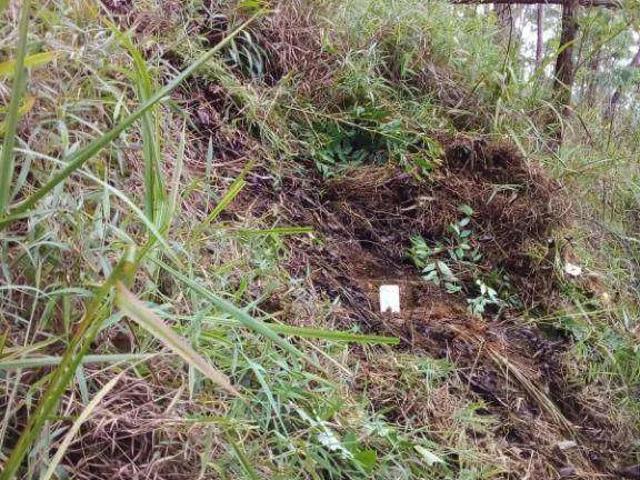 Terreno venda em Região Imediata de São Paulo, Região Metropolitana de São Paulo