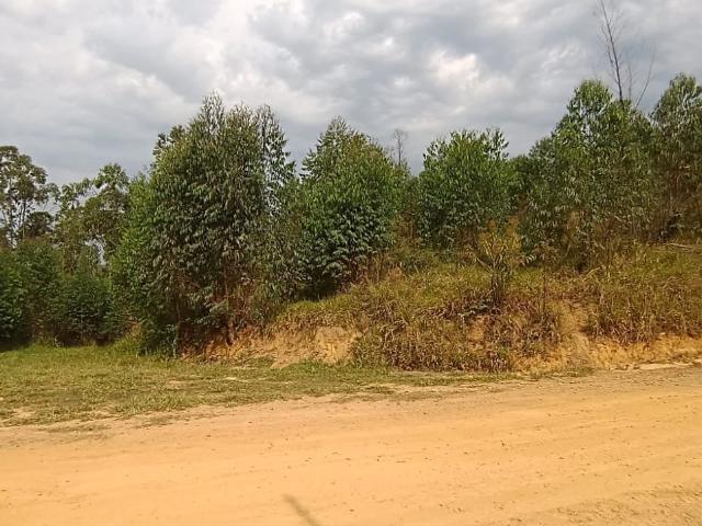 Terreno venda em Região Imediata de São Paulo, Região Metropolitana de São Paulo